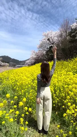 行ってみた｜ホテル紹介のTikTok投稿
