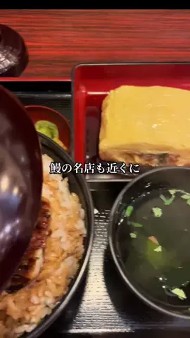 ガチレビューマンのTikTok投稿