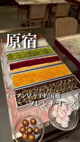 コアラグルメ|大人の食体験のTikTok投稿