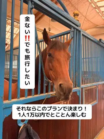 37歳おっさん旅垢のTikTok投稿