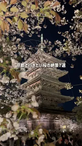 もえ✈︎賢くお得にワンランク上の旅のTikTok投稿