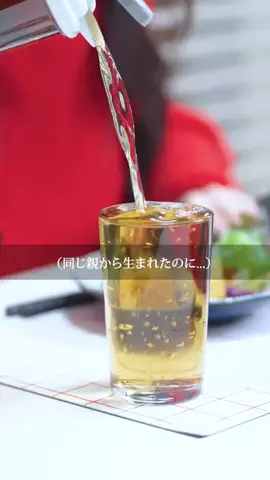 ドラマみたいだのTikTok投稿