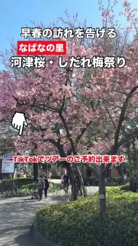 WINGのTikTok投稿