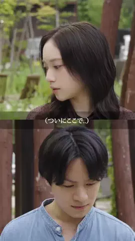 ドラマみたいだのTikTok投稿
