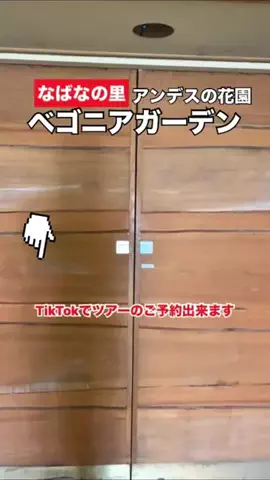 WINGのTikTok投稿