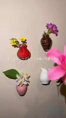 y_urin_aのTikTok投稿