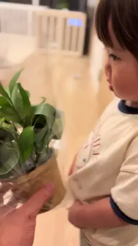 さらパパのTikTok投稿