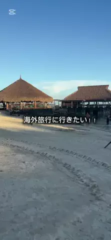 雑学犬🐕のTikTok投稿