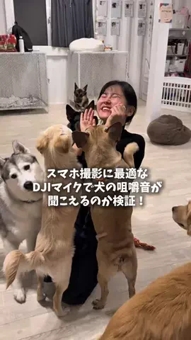 朝比菜りおなのTikTok投稿