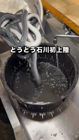 石川グルメのTikTok投稿