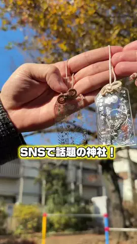 チワワの、のぶなが【飼い主と犬がおもしろすぎる】のTikTok投稿