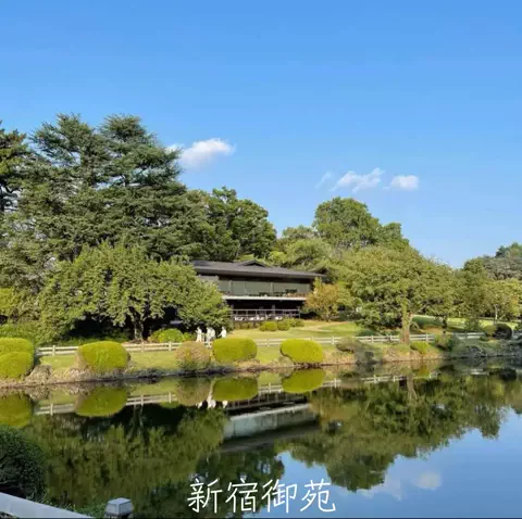 mのTikTok投稿