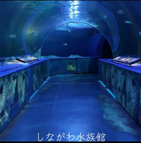 mのTikTok投稿