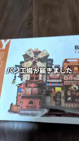 ねぼのTikTok投稿
