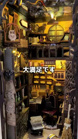 ねぼのTikTok投稿