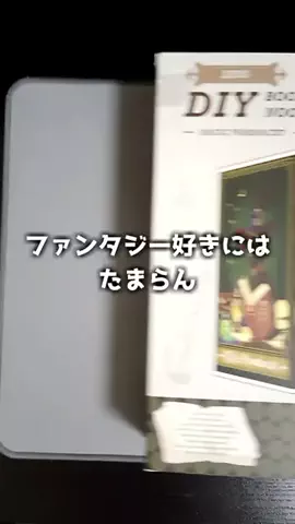 ねぼのTikTok投稿