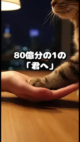 猫心【ネココロ】のTikTok投稿