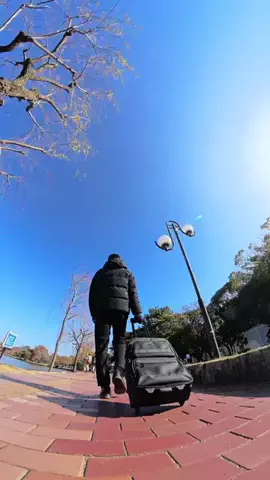 セカイを旅する社会人🌏✈️のTikTok投稿