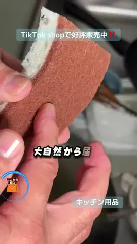 野獣のおっちゃんのTikTok投稿