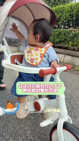 野獣のおっちゃんのTikTok投稿