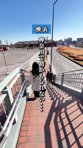 横浜グルメ・神奈川グルメのTikTok投稿