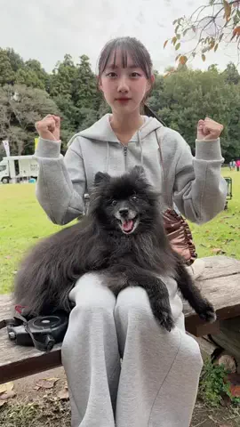 ひまいぶさくらfamily🌷のTikTok投稿
