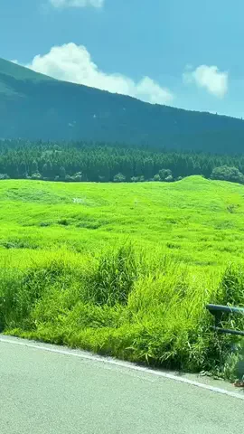 moreofJAPANのTikTok投稿