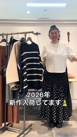ハセガワのTikTok投稿