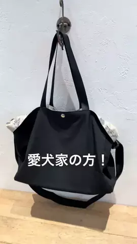ハセガワのTikTok投稿