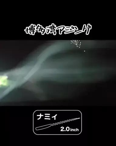 SHIBATARのTikTok投稿