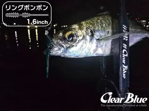 SHIBATARのTikTok投稿