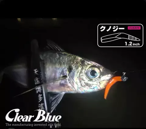SHIBATARのTikTok投稿