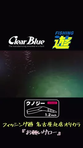 SHIBATARのTikTok投稿