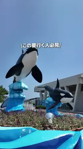 Ohana🌸のTikTok投稿