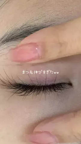 スジのTikTok投稿