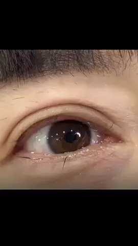 スジのTikTok投稿