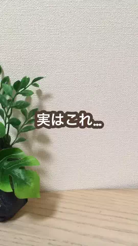 こあら博士| iPhone活用術🐨のTikTok投稿