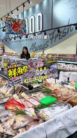 おでかけ情報をギュッと発信📢ルミルミ⿻*.·のTikTok投稿