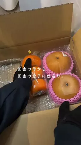 inaka_hahaのTikTok投稿