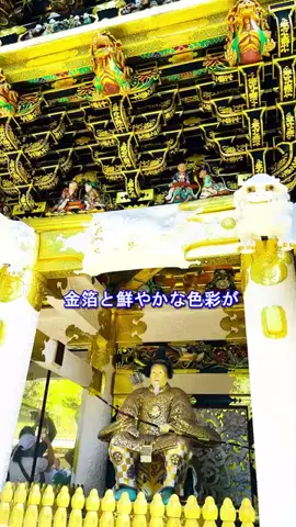 おでかけポコのTikTok投稿