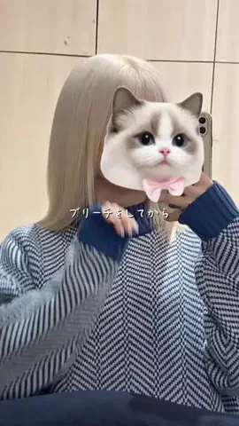 髪さら姉のTikTok投稿