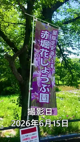おでかけポコのTikTok投稿