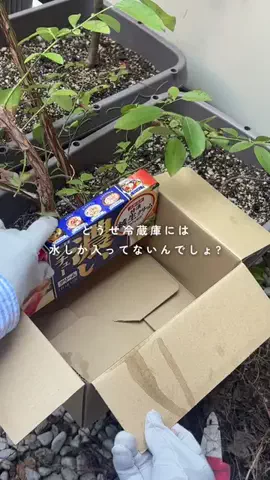 inaka_hahaのTikTok投稿
