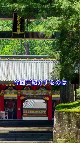おでかけポコのTikTok投稿