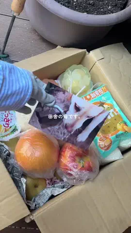 inaka_hahaのTikTok投稿