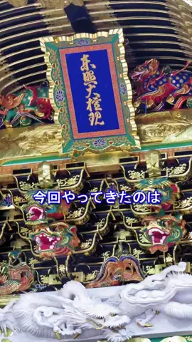 おでかけポコのTikTok投稿