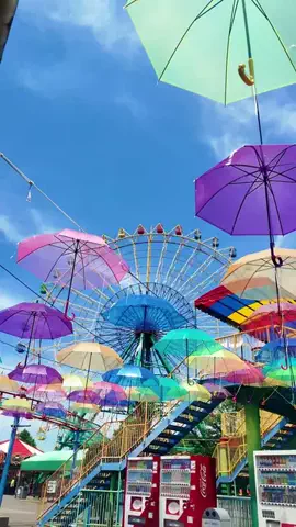 おでかけポコのTikTok投稿