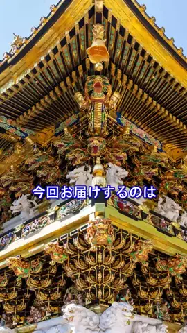 おでかけポコのTikTok投稿