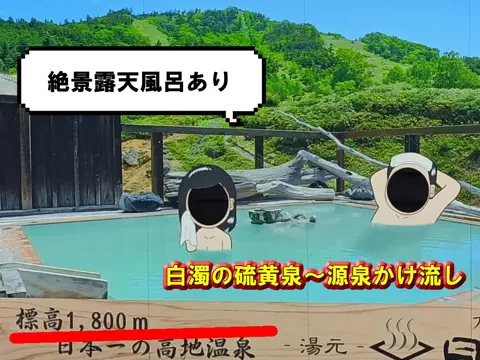 おでかけポコのTikTok投稿
