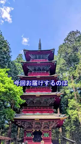 おでかけポコのTikTok投稿